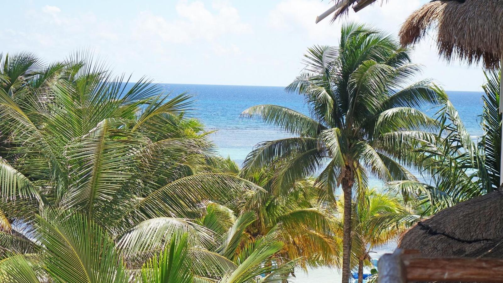El Fuerte Beach Apartments Mahahual Quarto foto